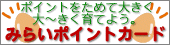 �|�C���g�J�[�h
